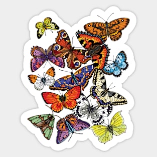 Butterflies Sticker